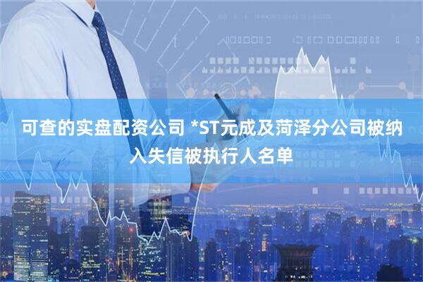 可查的实盘配资公司 *ST元成及菏泽分公司被纳入失信被执行人名单