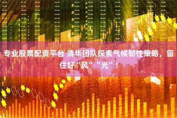 专业股票配资平台 清华团队探索气候韧性策略，留住好“风”“光”！