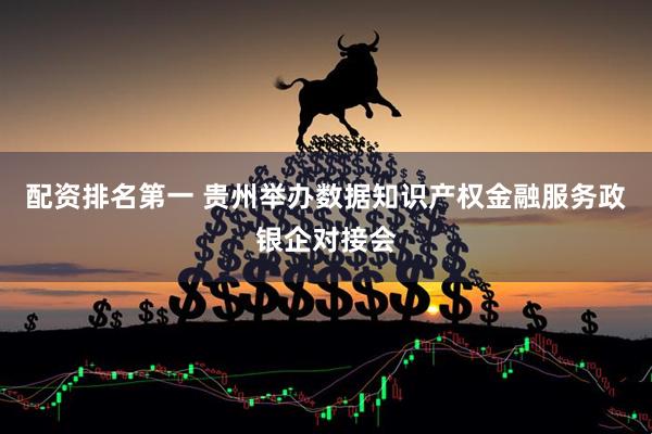 配资排名第一 贵州举办数据知识产权金融服务政银企对接会